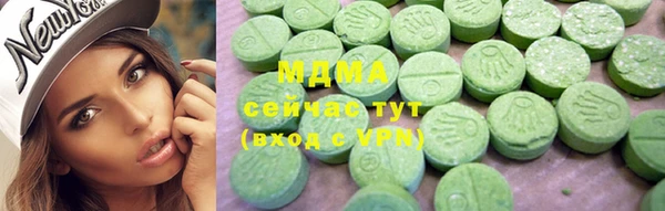 гидра Богородск
