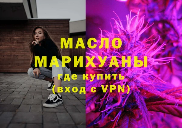 гидра Богородск