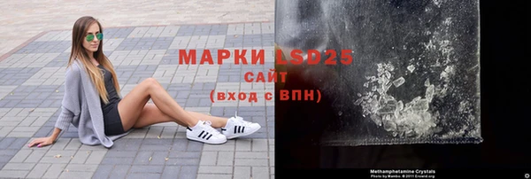 гидра Богородск