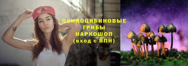 гидра Богородск