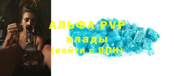 гидра Богородск