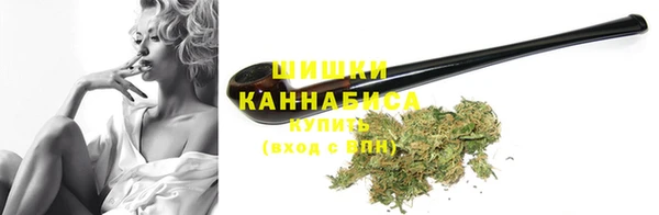 гидра Богородск