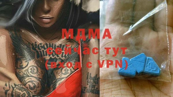 гидра Богородск
