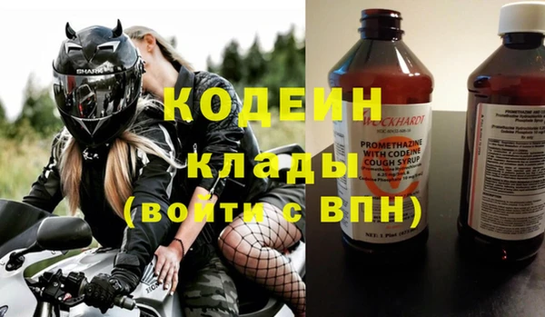 гидра Богородск