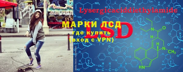 гидра Богородск