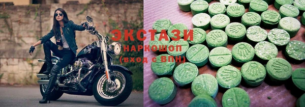 гидра Богородск