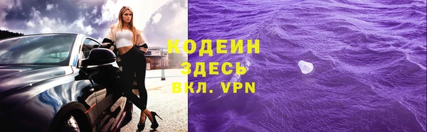 гидра Богородск