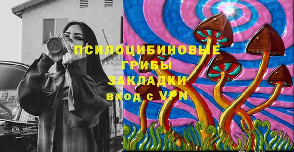 меф Богородицк