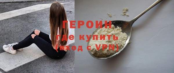 гидра Богородск