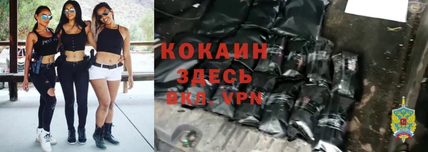 гидра Богородск